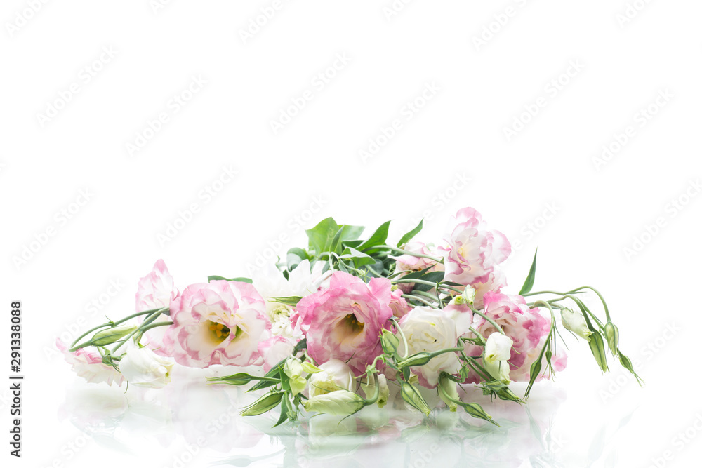 beautiful pink lisianthus flowers isolated on white beautiful pink lisianthus flowers isolated on white