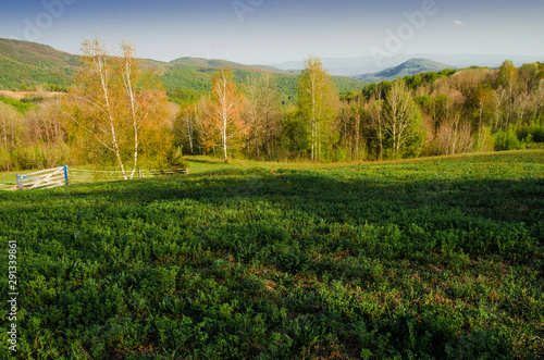 Scenic green field and forest landscape