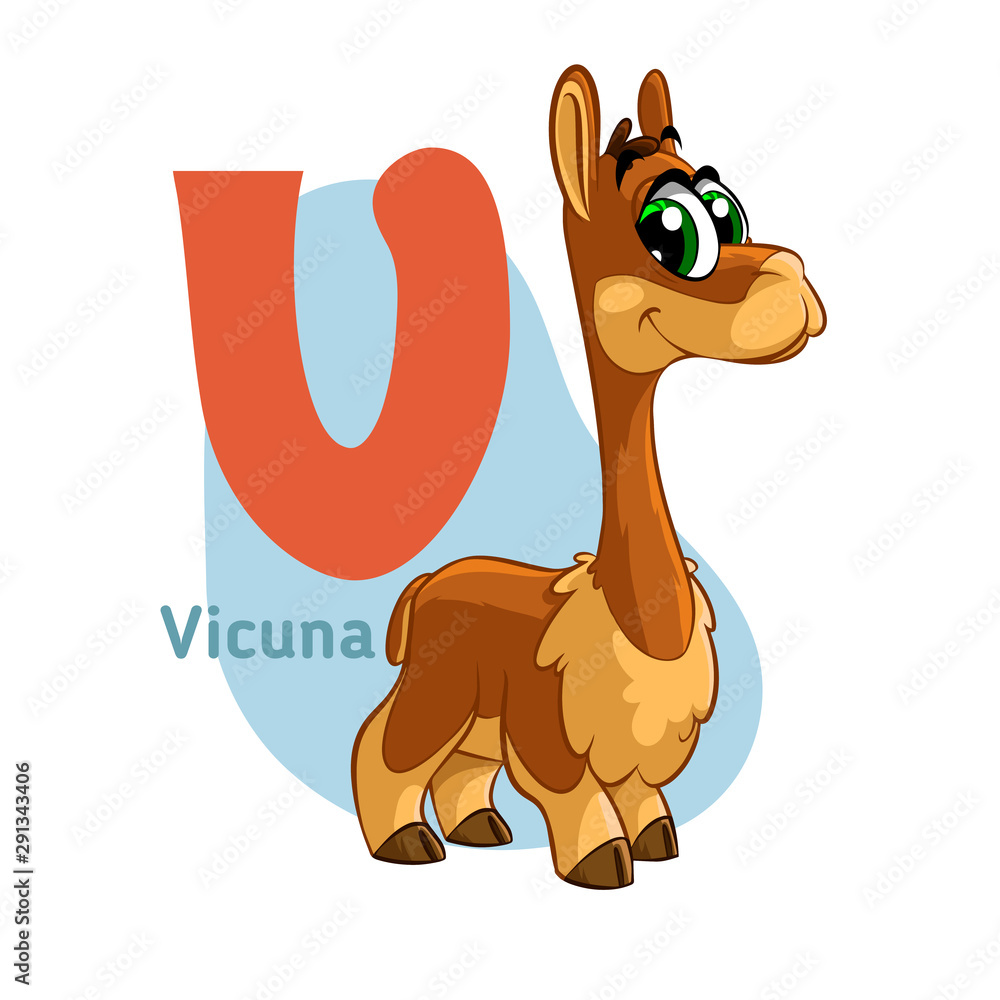 Fototapeta premium Vicuna ABC Alphabet