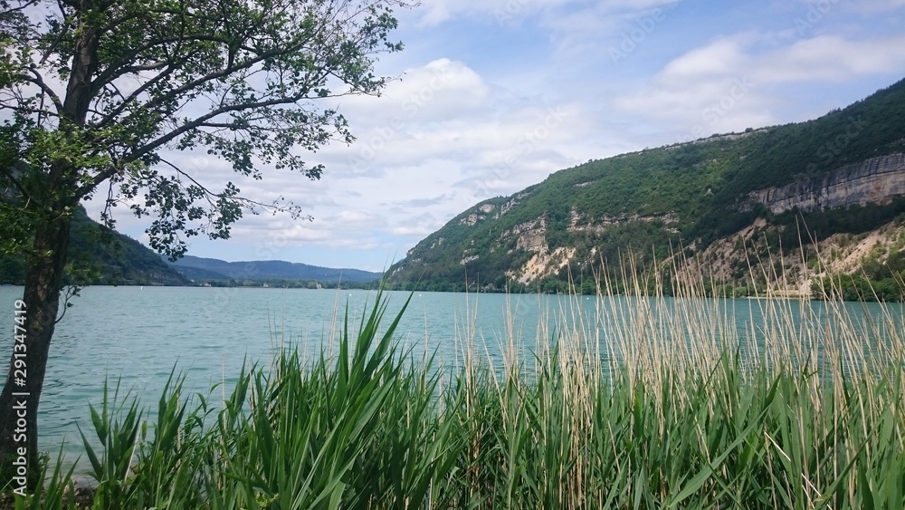 Naklejka premium Lac