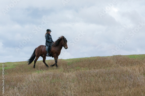 Icelandic horse riding © AnttiJussi