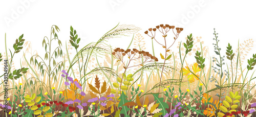Autumn Meadow Plants Seamless Border