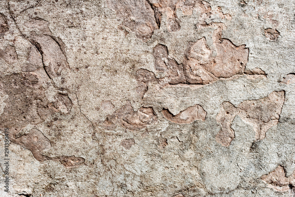 Naklejka premium Texture of a concrete wall with cracks and scratches which can be used as a background