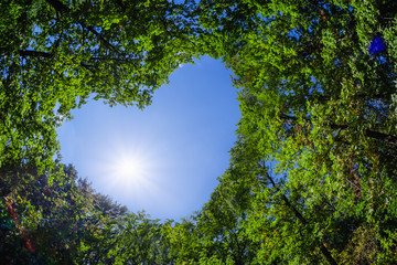 Leaves background concept heart love ecology.