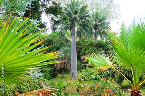 Botanical garden in Cap d Antibes