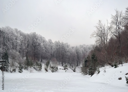 winter landscape with trees and snow © kanuni_10tr