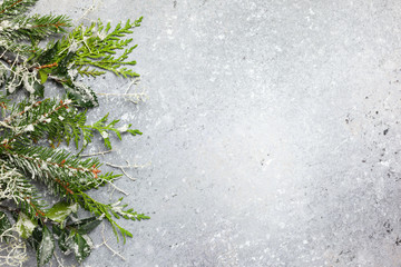 Christmas or winter background with a border of green and frosted evergreen branches on a grey vintage board. Flat lay
