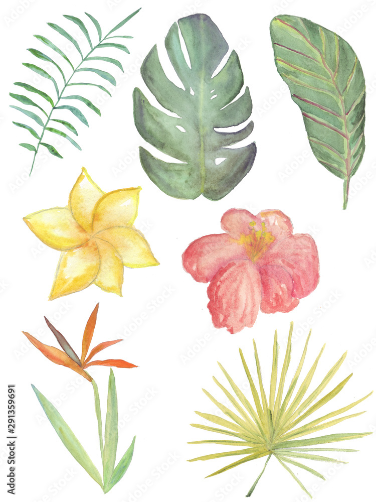 Bright set of tropical plants and flowers of different colors. Watercolor hand drawn set