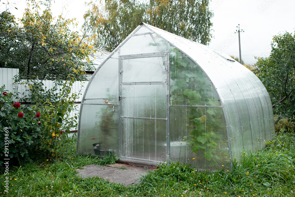 View of greenhousein the garden. The end of season. Autumn harvest. Farmer family business. Sale and delivery vegetables. Garden Tools. GMO Free. Eco friendly food. Plastic material.