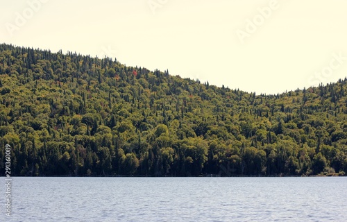landscape with trees and lake