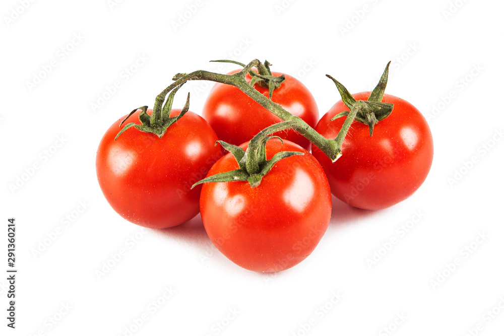 Small tomatoes on a sprig isolated on white background (view from a different perspective in the portfolio) Small tomatoes on a sprig isolated on white background (view from a different perspective in the portfolio)