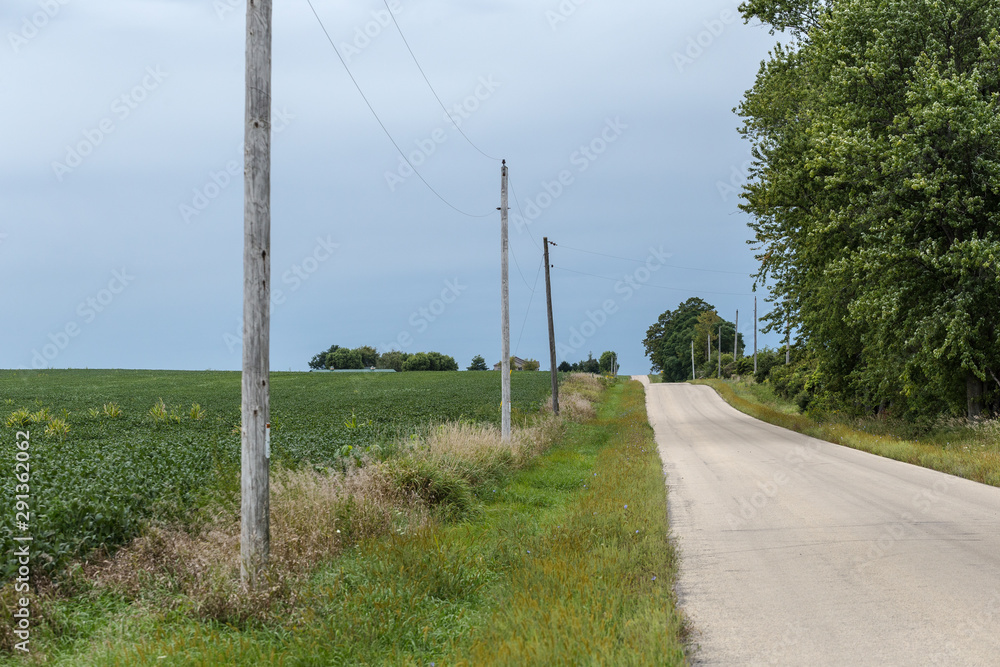 Dirt road and old telephone poles vanishing into the distance of a small rural community