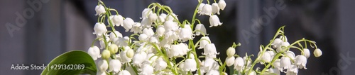 banner of Lily of the valley flowers. Natural background with blooming lilies of the valley lilies-of-the-valley