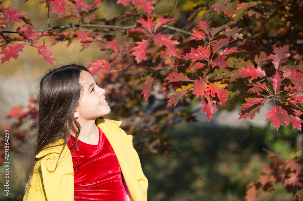Happy child. My perfect autumn. United with nature. Little child walk in autumn park. Autumn season leisure. Atmosphere of autumn. Adorable smiling schoolgirl autumn foliage background. Good mood Happy child. My perfect autumn. United with nature. Little child walk in autumn park. Autumn season leisure. Atmosphere of autumn. Adorable smiling schoolgirl autumn foliage background. Good mood