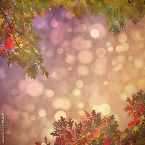 Tree leaves in autumn. Autumn nature landscape background. Banner background with copy space, toned and blurred