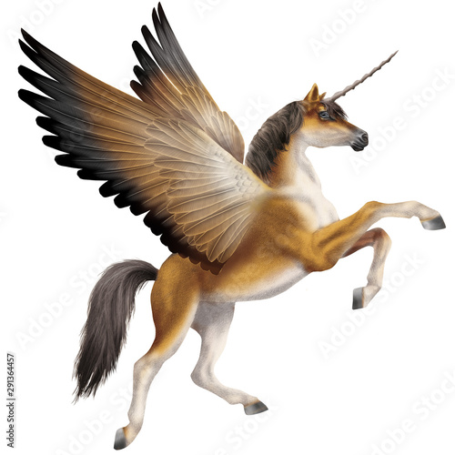 cheval volant    talon  jument   licorne   en vol  en vol  beige volant  sauvage  illustration  nature  joli  art  animal  dinosaure  ailes  noir  