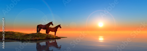 horses in island and sunset
