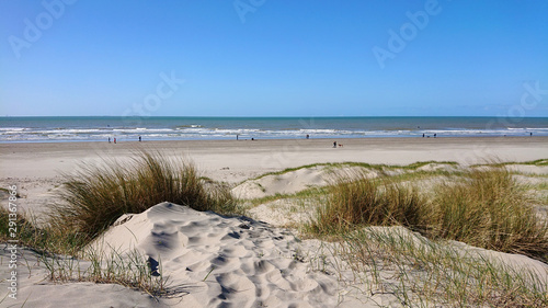 Fototapeta Naklejka Na Ścianę i Meble -  Dutch coastline/beach in the summer with dunes and sand reed