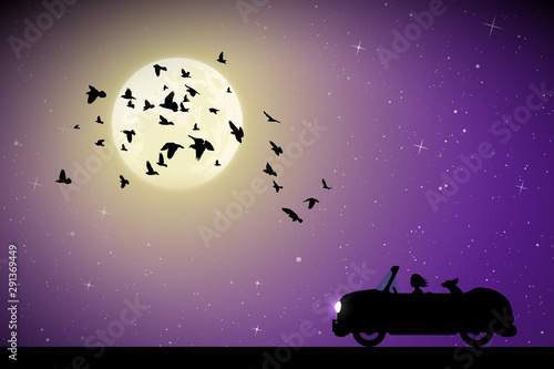 Fototapeta Naklejka Na Ścianę i Meble -  Cartoon retro car and focks of birds on moonlit night. Vector illustration with silhouettes of woman and dog traveling in cabriolet. Full moon in starry sky