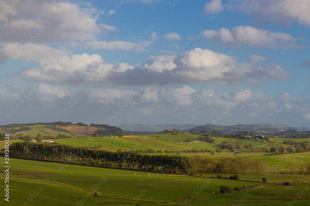 green hills of North island of New Zealand