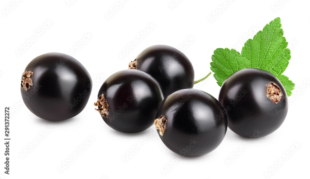 Five black currant with leaf isolated on white background Five black currant with leaf isolated on white background