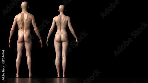 Photos Anatomtical body structure of male and female back view 3d render