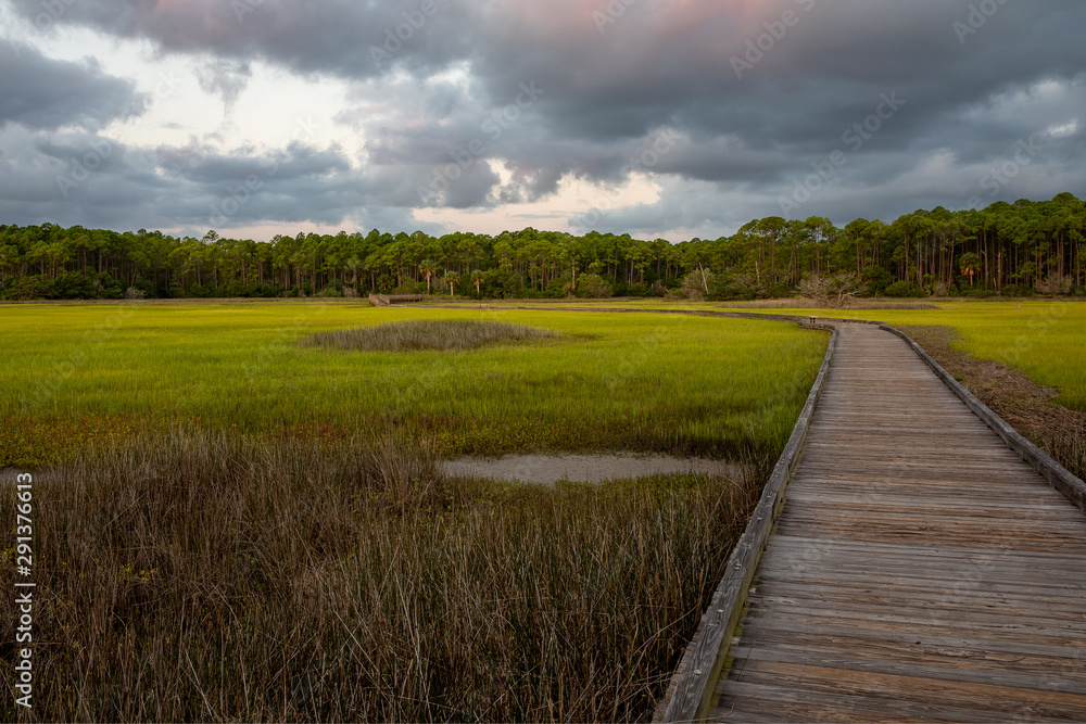 Salt Marsh on the intracoastal waterway in Florida