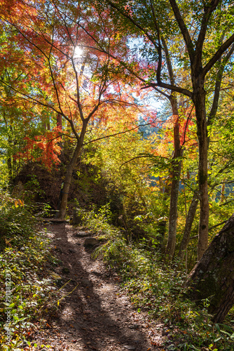 Mitake Shosenkyo Gorge Autumn foliage scenery view in sunny day. Beauty landscapes of magnificent fall colours. A popular tourist attractions in Kofu, Yamanashi Prefecture, Japan