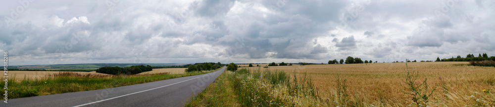 Fototapeta premium summer landscape, large horizontal panorama - asphalt road, field and forest
