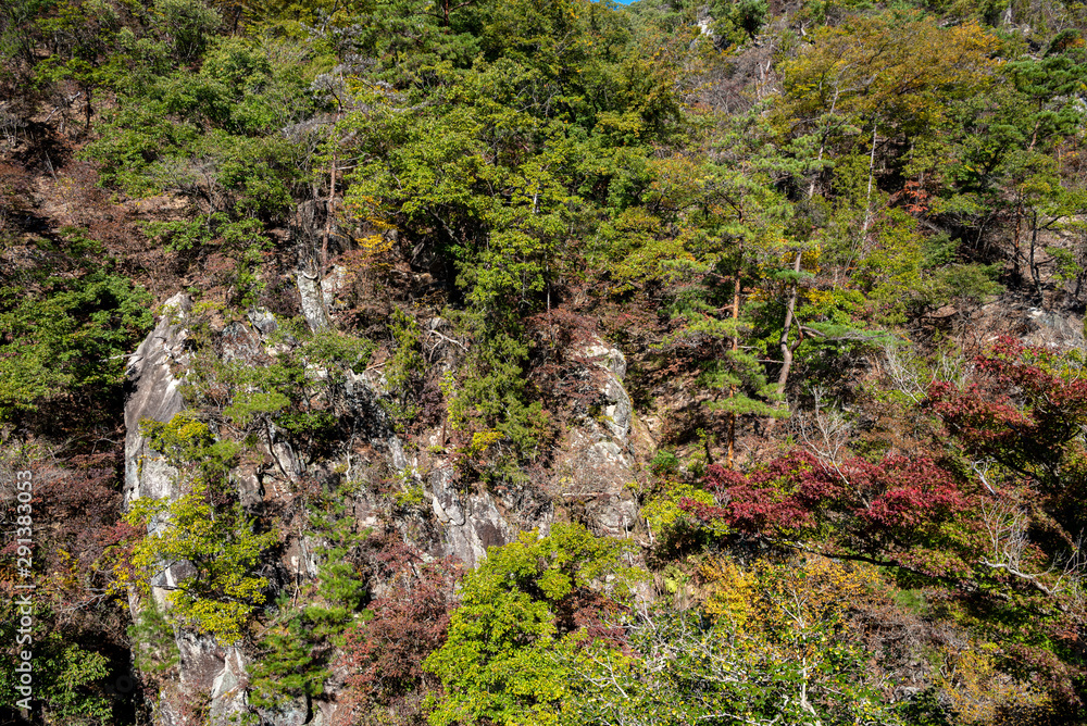 Mitake Shosenkyo Gorge Autumn foliage scenery view in sunny day. Beauty landscapes of magnificent fall colours. A popular tourist attractions in Kofu, Yamanashi Prefecture, Japan Mitake Shosenkyo Gorge Autumn foliage scenery view in sunny day. Beauty landscapes of magnificent fall colours. A popular tourist attractions in Kofu, Yamanashi Prefecture, Japan