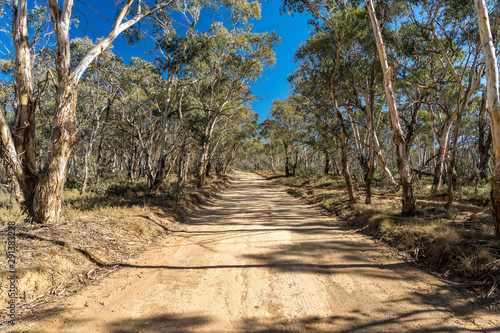 Unsealed winding road on Mount Clear in rural Australia