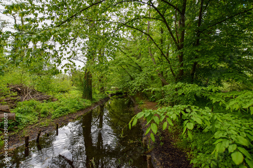 natural scenery with water