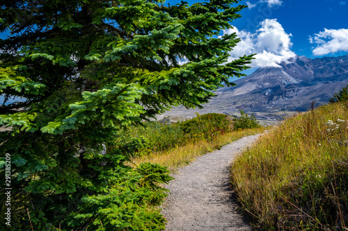 Hiking trail through Mount St. Helens National Volcanic Monument, WA, USA