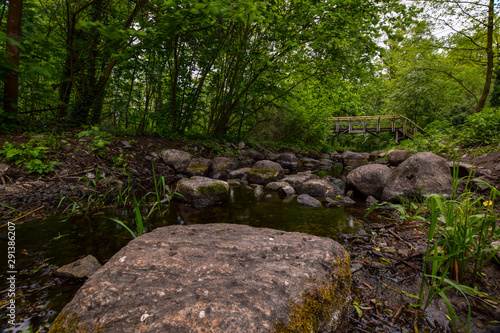 natural scenery with water