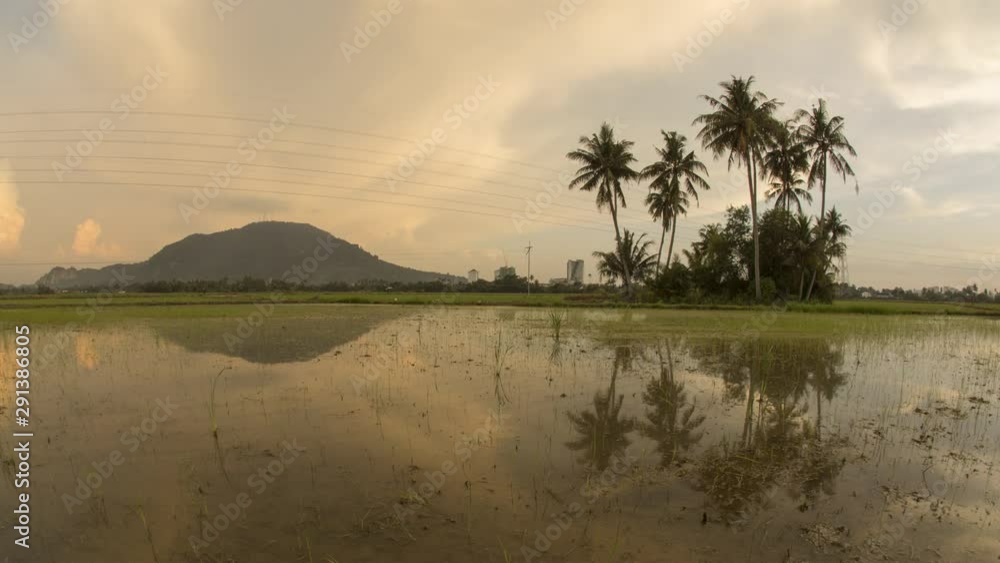 Timelapse gorgeous sunset with golden sky at Bukit Mertajam, Penang. Timelapse gorgeous sunset with golden sky at Bukit Mertajam, Penang.