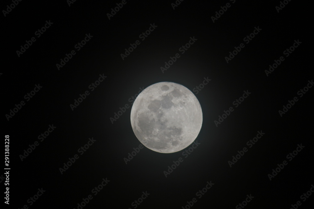 Fototapeta premium Moon