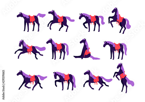 Set of vector horses isolated on white background. A collection of purebred thoroughbred horses in a flat modern style. © lauritta