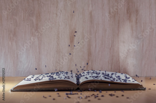 Fototapet Letters coming out of a book. devouring a book