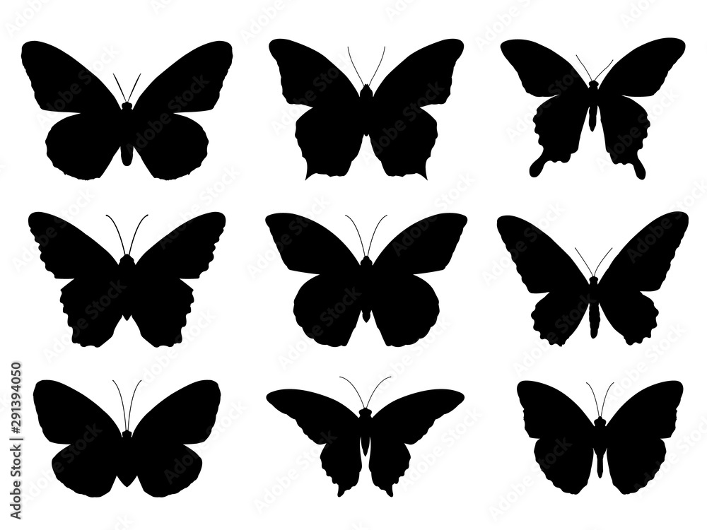 Obraz premium Set of silhouettes of butterflies,