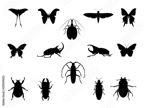 Set of insect silouettes isolated on white.