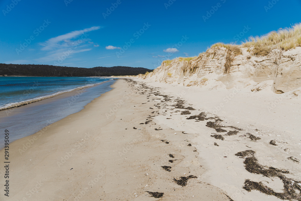 sunny pristine and deserted beach overlooking the South Pacific Ocean sunny pristine and deserted beach overlooking the South Pacific Ocean