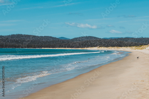 Fototapeta Naklejka Na Ścianę i Meble -  sunny pristine and deserted beach overlooking the South Pacific Ocean