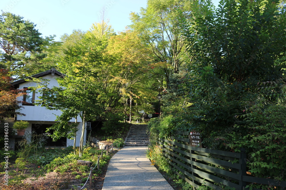 Obraz premium 山梨 清里 萌木の村 緑と道