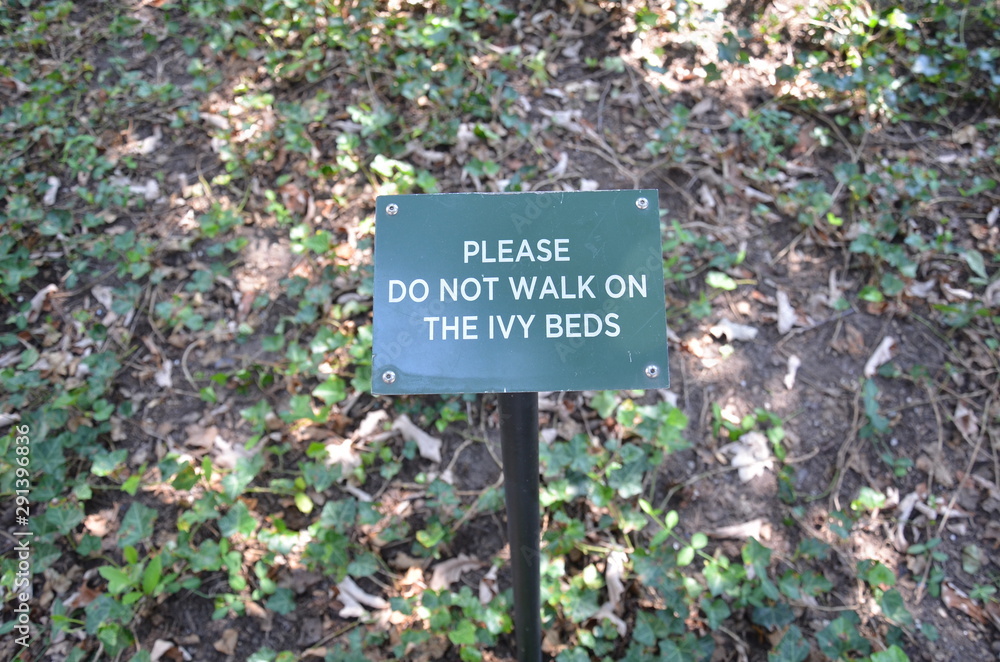 please do not walk in the ivy beds sign with ivy