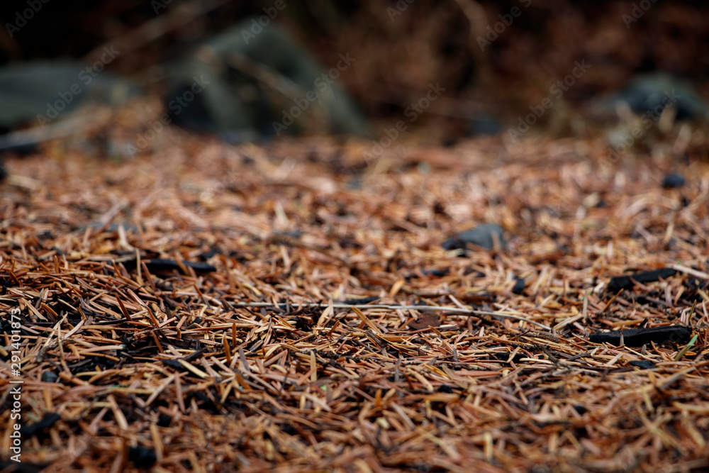 Dry grass ground with blurry stone backdrop - Autumn / Fall Season Dry grass ground with blurry stone backdrop - Autumn / Fall Season