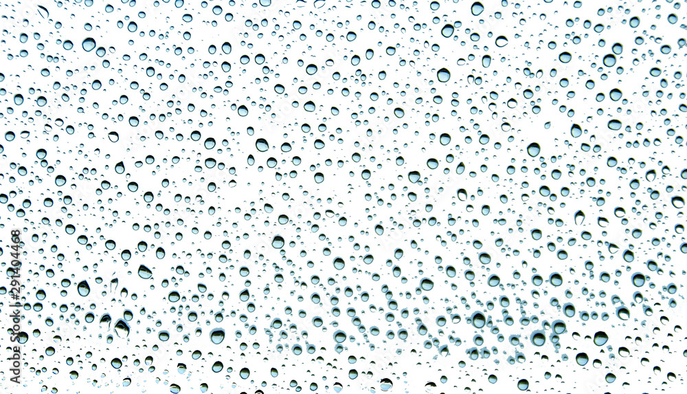 Obraz premium Drob raining with isolated on white
