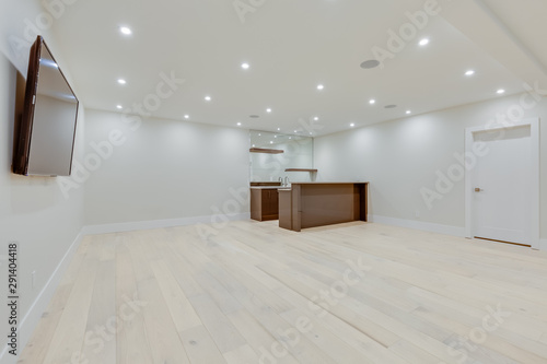 Interior design of a lower level room in the newly built house  for use as a game room or party room.