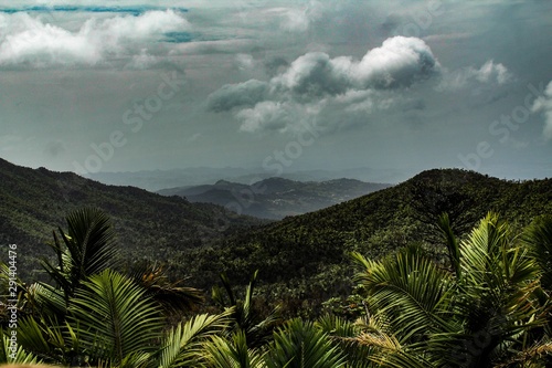 View of the rain forest in El Yunque National Park in Puerto Rico