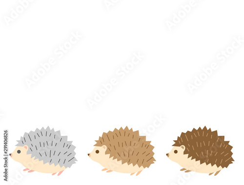 ハリネズミ9