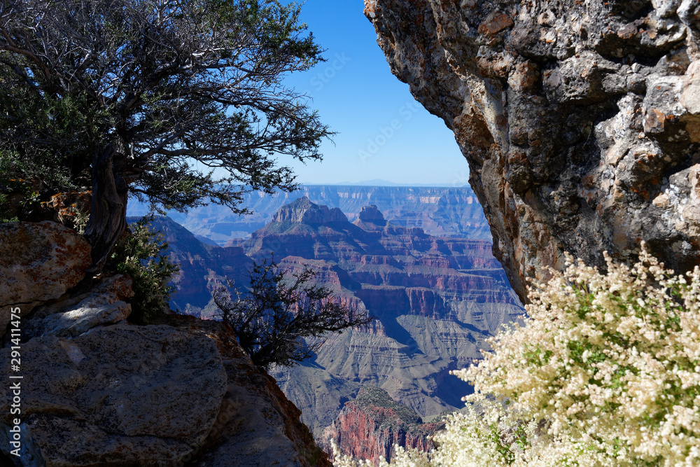 Vista of the North Rim of the Grand Canyon